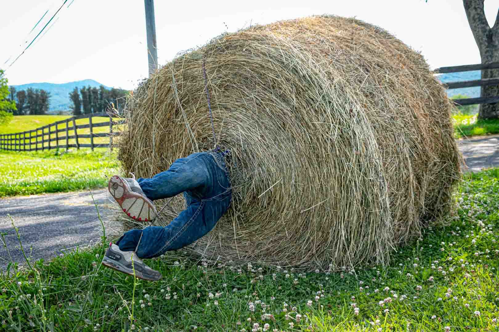 bale2-story.jpg